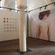 IMG_8586 IMG_8586