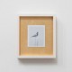 Taube-03_web Taube-03_web